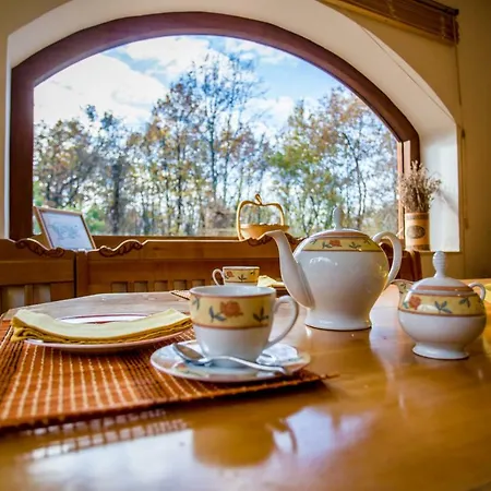 Selva Grande Bed & Breakfast