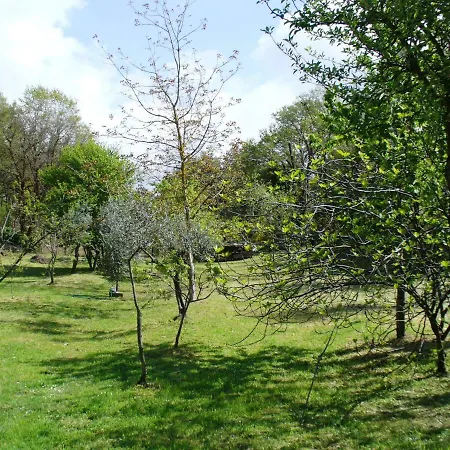 Bed & Breakfast Selva Grande Capena