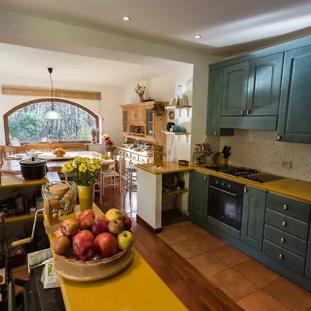 Selva Grande Bed & Breakfast *
