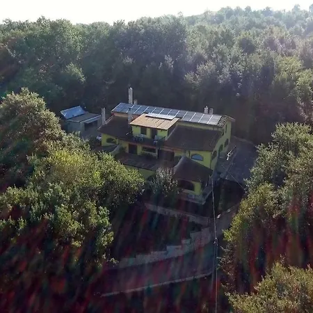 Bed & Breakfast Selva Grande