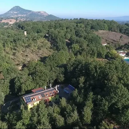 Selva Grande