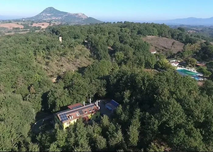 Selva Grande